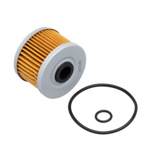 FILTRO DE OLEO EKSIM CBX 250 - CB 300R - XLX 250.