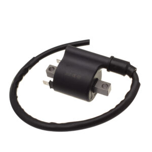 BOBINA IGNICAO CONDOR 12V CG 125 2009/