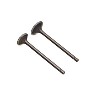 VALVULA ADM/ESC. (PAR) WW3 CG 125 76 A 91