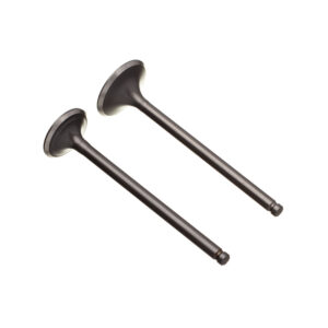 VALVULA ADM/ESC. (PAR) WW3 CG 125 92 A 01