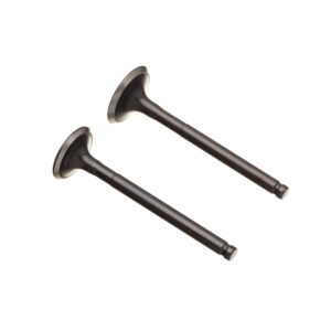 VALVULA ADM/ESC. (PAR) WW3 BIZ 100