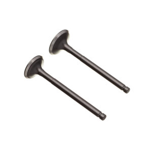 VALVULA ADM/ESC. (PAR) WW3 BIZ 125