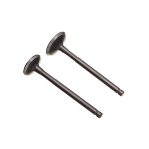 VALVULA ADM/ESC. (PAR) WW3 POP 110 I