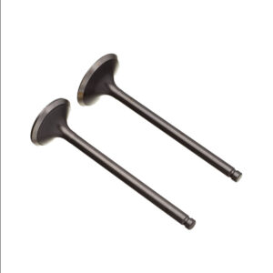 VALVULA ADM/ESC. (PAR) WW3 CBX 200