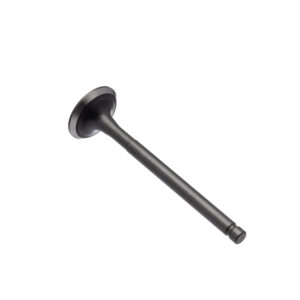 VALVULA ESCAPE WW3 BIZ 125 05/