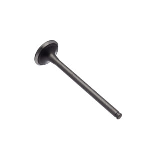 VALVULA ESCAPE WW3 CB 300R 09/15