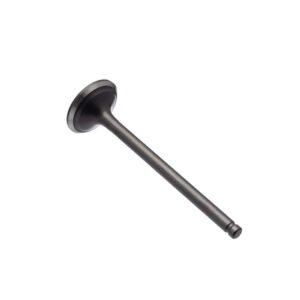 VALVULA ESCAPE WW3 CBX 200 93/02