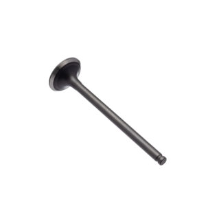 VALVULA ESCAPE WW3 CG 125 09/18