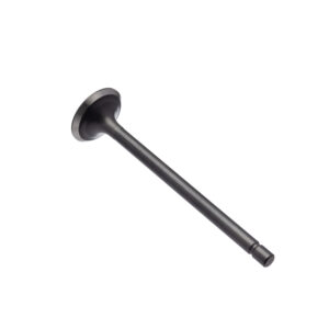 VALVULA ESCAPE WW3 CG 125 76/91