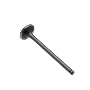 VALVULA ESCAPE WW3 CG 125 92/01