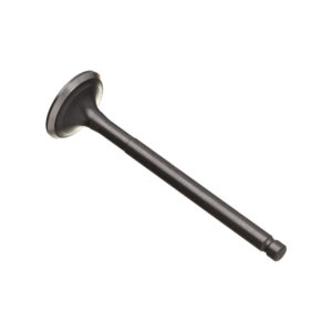 VALVULA ESCAPE WW3 CG 160 16/ - BROS 160 16/