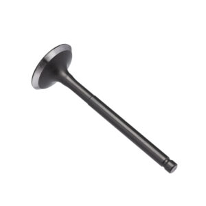 VALVULA ADMISSAO KMP BIZ 125