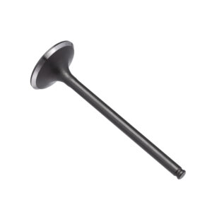 VALVULA ADMISSAO KMP CB 300R 09/15