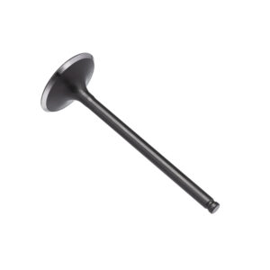 VALVULA ADMISSAO KMP CG 150 04/15