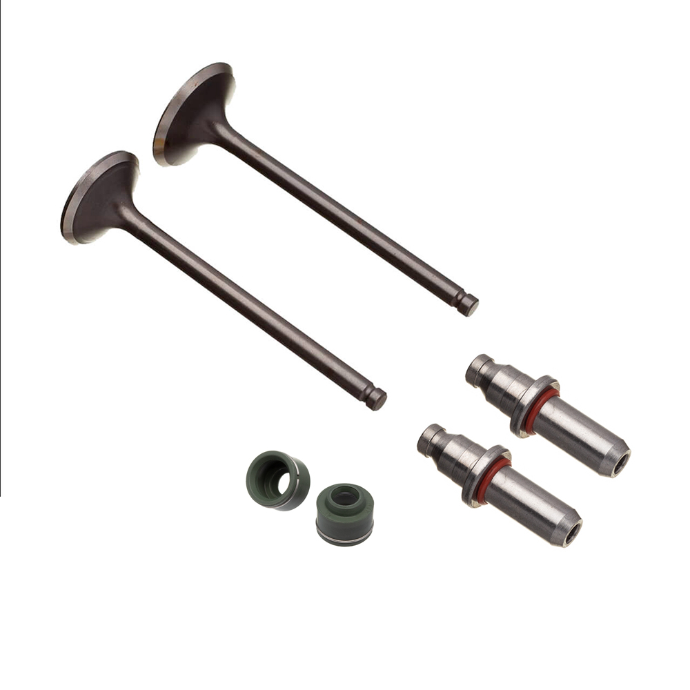 VALVULA GUIA E RETENTOR KIT (6PCS) WW3 CBX 200