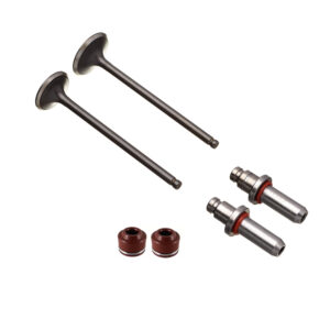 VALVULA GUIA E RETENTOR KIT (6PCS) WW3 CG 125 02/08