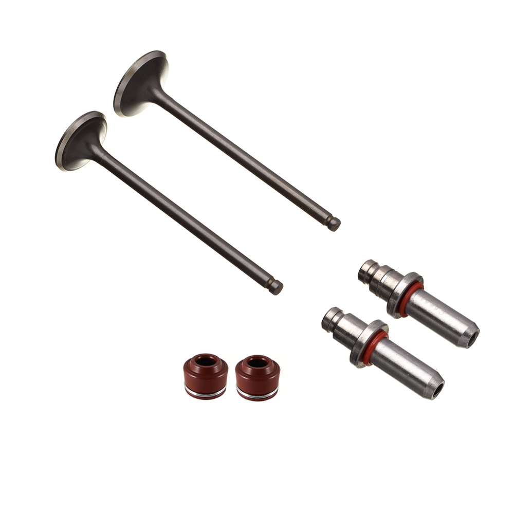 VALVULA GUIA E RETENTOR KIT (6PCS) WW3 CG 125 02/08