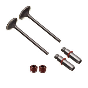 VALVULA GUIA E RETENTOR KIT (6PCS) WW3 CG 150 04/15