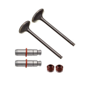 VALVULA GUIA E RETENTOR KIT (6PCS) WW3 CG 160 16/ - BROS 160
