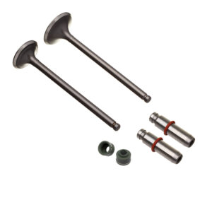 VALVULA GUIA E RETENTOR KIT (6PCS) WW3 CG 125 92/01 + 0.20MM