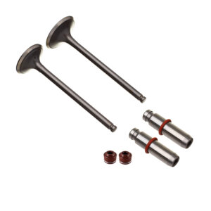 VALVULA GUIA E RETENTOR KIT (6PCS) WW3 CG 150 OVER + 0.20MM