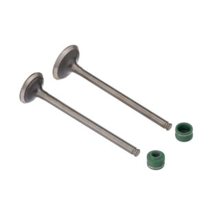 VALVULA E RETENTOR KIT (4PCS) WW3 CB 250F TWISTER 16/22