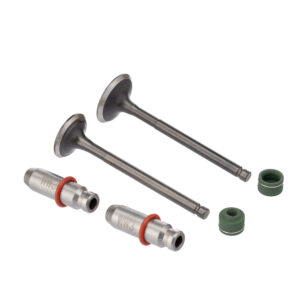 VALVULA GUIA E RETENTOR KIT (6PCS) WW3 BIZ 125 05/ RETEN. VERDE