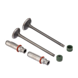 VALVULA GUIA E RETENTOR KIT (6PCS) WW3 CB 250 16/22 RETEN. VERDE