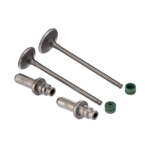 VALVULA GUIA E RETENTOR KIT (6PCS) WW3 CG 125 02/08 RETEN. VERDE