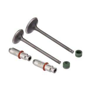 VALVULA GUIA E RETENTOR KIT (6PCS) WW3 CG 150 04/15 RETEN. VERDE