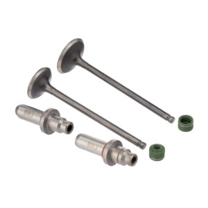 VALVULA GUIA E RETENTOR KIT (6PCS) WW3 CG 125 02/08 +0.10 RET. V