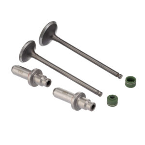 VALVULA GUIA E RETENTOR KIT (6PCS) WW3 CG 125 02/08 +0.20 RET. V