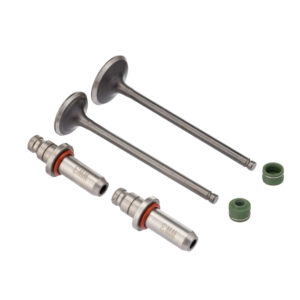VALVULA GUIA E RETENTOR KIT (6PCS) WW3 CG 125 02/08 +0.30 RET. V