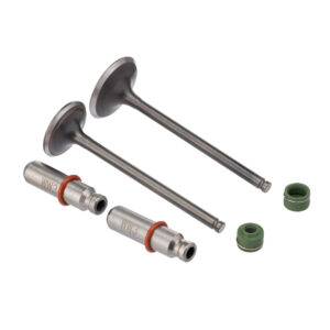 VALVULA GUIA E RETENTOR KIT (6PCS) WW3 CG 150 04/08 +0.20 RET. V
