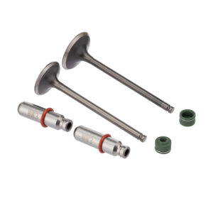 VALVULA GUIA E RETENTOR KIT (6PCS) WW3 CG 150 04/08 +0.30 RET. V