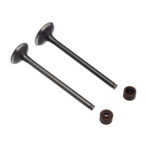 VALVULA E RETENTOR KIT (4PCS) WW3 CB 250 16/22 RET. MARROM