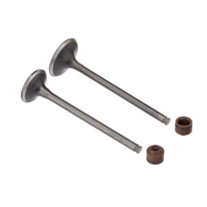 VALVULA E RETENTOR KIT (4PCS) WW3 CB 300R RET. MARROM