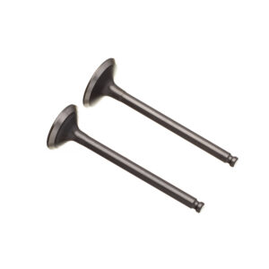 VALVULA ADM/ESC. (PAR) WW3 CRYPTON 115/105