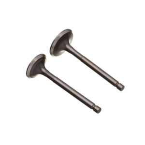 VALVULA ADM/ESC. (PAR) WW3 YBR 125