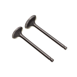 VALVULA ADM/ESC. (PAR) WW3 FAZER 250