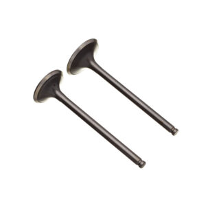 VALVULA ADM/ESC. (PAR) WW3 YBR 125 INJ. 17/