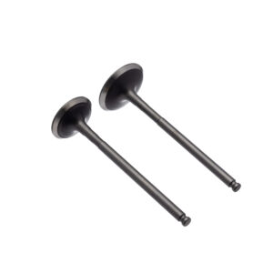 VALVULA ADM/ESC. (PAR) WW3 FAZER 150 2014/