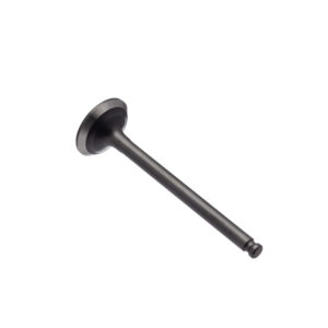 VALVULA ESCAPE WW3 CRYPTON 115 10/16