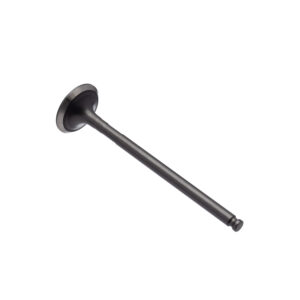 VALVULA ESCAPE WW3 YBR 125 INJ. 17/