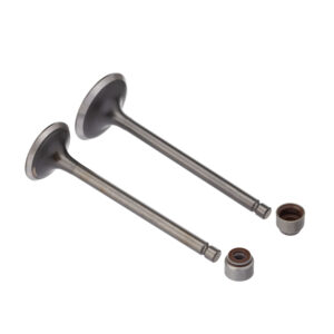 VALVULA E RETENTOR KIT (4PCS) WW3 FAZER 250 07/ - LANDER 250