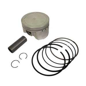 PISTAO KIT C/ANEL RIK PREMIUM XT 600E 1.00