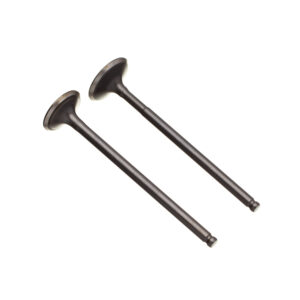 VALVULA ADM/ESC. (PAR) WW3 YES 125