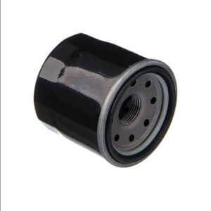 FILTRO DE OLEO EIS SUZUKI - GSX1000R - HAYABUSA - BOULEVARD